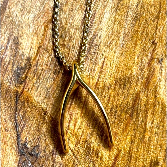 Wishbone Pendant Gold Long 34” Necklace by J Crew - Picture 1 of 11